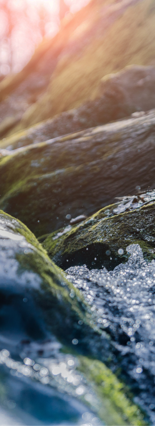 nature waterfall in woods